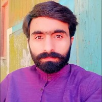 Saqib M