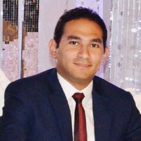 Hesham Abd Elghany