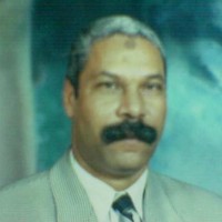 Ali Ghoniem
