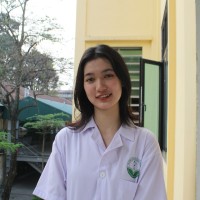 Ngoc Mai Vu