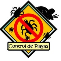 juan pablo gonzales carranza