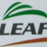 Leafin United Medicines and Medical  Equip
