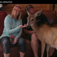 Sherri Cooley