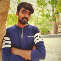 Vignesh L