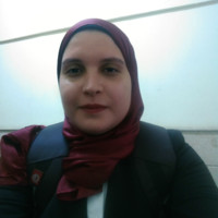 Maiada Mahmoud Mansour