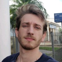 Henrique Ariel Arruda Gerhard