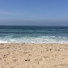 Surbhi Dutta