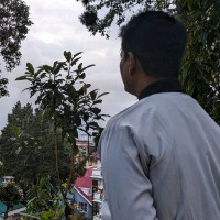 Dheeraj Pandey