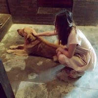 王汝冰