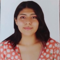 Yonmi Alcidesa Mallma Crisostomo