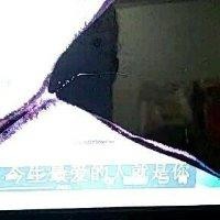 李二双
