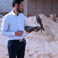 Dr Ahmed Aboshanp