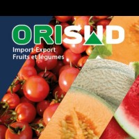 MOHAMED AIT ELMKADEM