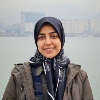 Hanieh Heydari