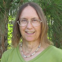 Diane Willis