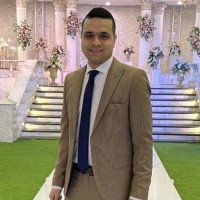 Mahmoud Helmy