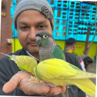 Sameer Ranjan