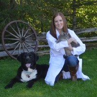 Kristy Haines