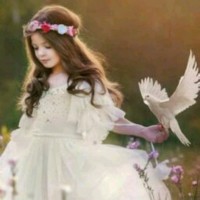 صافي العراقي