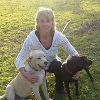 Julie Prevatt