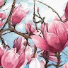Zhao Sharon