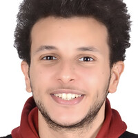 Mina Nabil