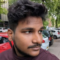 Indraneel Adak
