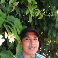 Miguel Angel Yavi Eguez