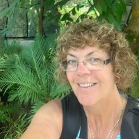 Sue Allport