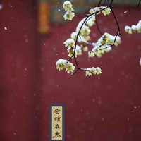 宋天骄
