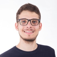 Flavio Principi