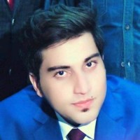 Muhammad Anas Awan