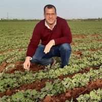 Pedro Aniceto Romero Zambrano