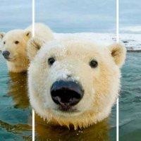 张晚晨