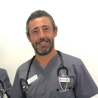 Raimundo Tamagnini