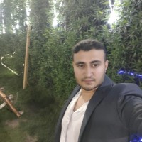 mohamed el sayed