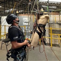 Matheus Ribeiro Elias