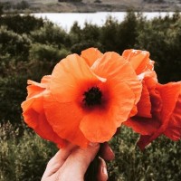 Ilknur Yilmaz- Cicek