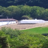 Massimiliano Babbini