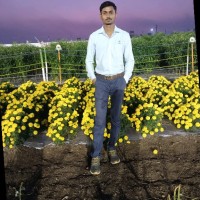 Yogesh Shingane