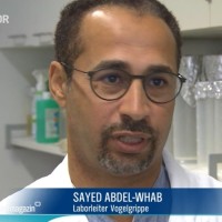 Sayed Abd El-Whab