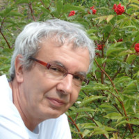 Radu Bogdanescu