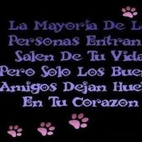 Evelyn Yessenia Stapleton Enriquez