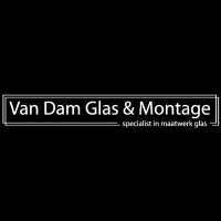 Mike Van Dam