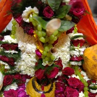 Krishna Savita