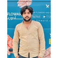 Danish Nafees