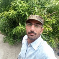 Arjun Mandloi