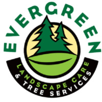 Evergreen Tree Services