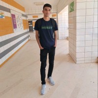 Ali Elnagar