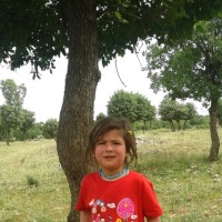 Mehmet İlcan
